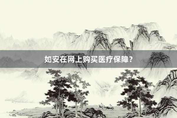 如安在网上购买医疗保障？