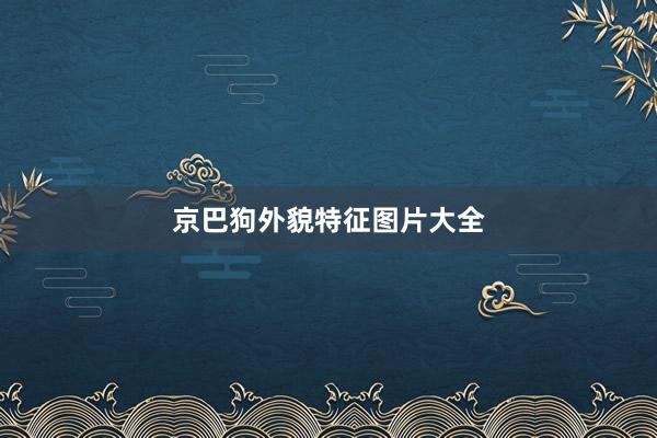 京巴狗外貌特征图片大全